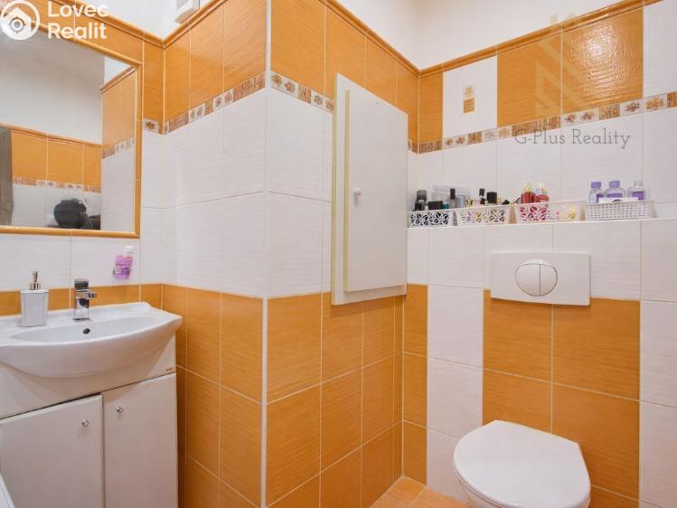 Prodej bytu 3+1 Děčín, J. z Poděbrad č. 15