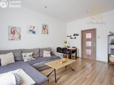 Prodej bytu 3+1 Děčín, J. z Poděbrad č. 1