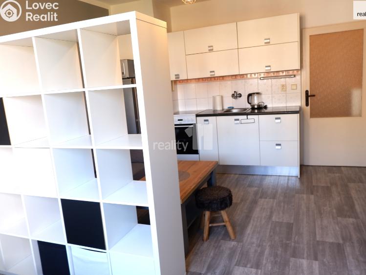 Pronájem bytu 1+KK Příbram, Pod Čertovým pahorkem č. 3