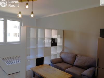 Pronájem bytu 1+KK Příbram, Pod Čertovým pahorkem č. 1