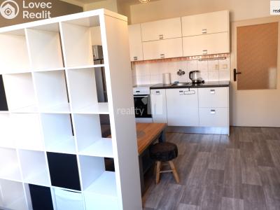 Pronájem bytu 1+KK Příbram, Pod Čertovým pahorkem č. 3