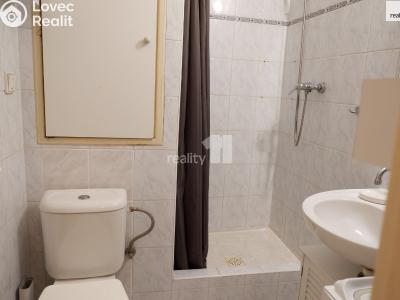 Pronájem bytu 1+KK Příbram, Pod Čertovým pahorkem č. 5