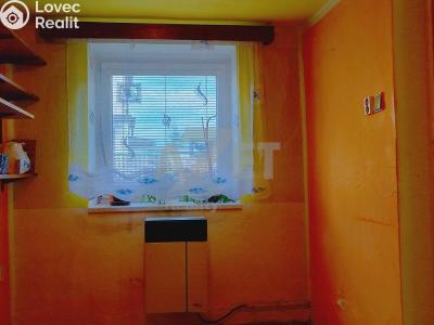 Продажа семейного дома Dlouhá Loučka, Sokolská č. 6