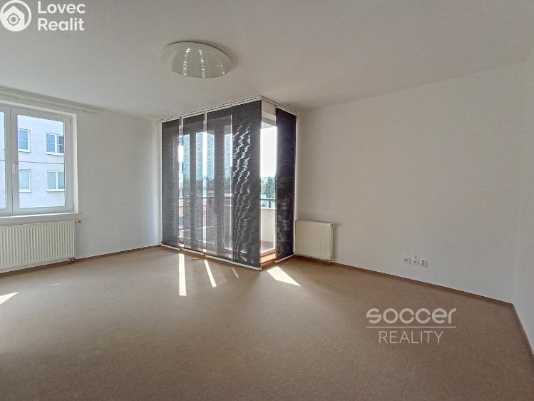 Pronájem bytu 1+KK Praha, Jalodvorská č. 1