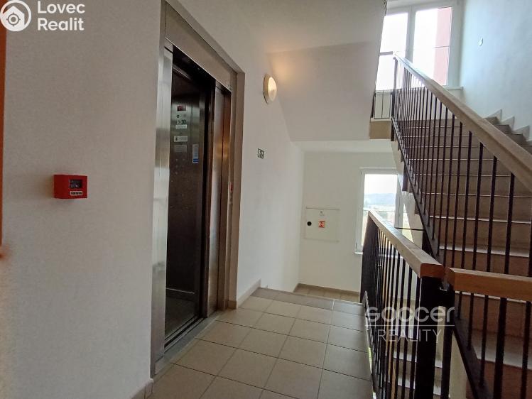 Pronájem bytu 1+KK Praha, Jalodvorská č. 13