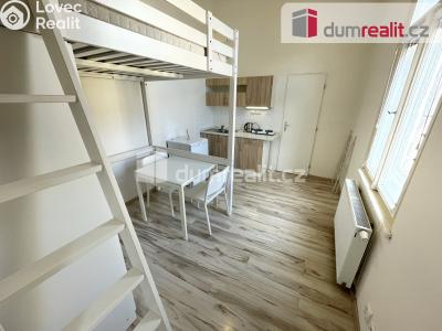 Pronájem bytu 1+KK Praha 5, Svornosti č. 1