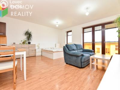 Pronájem bytu 1+KK Beroun, Nad Paloučkem 1715 č. 2