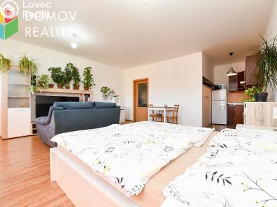 Pronájem bytu 1+KK Beroun, Nad Paloučkem 1715 č. 4