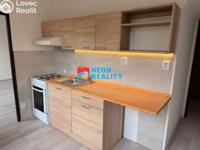 Pronájem bytu 1+1 Havířov, Balzacova č. 2