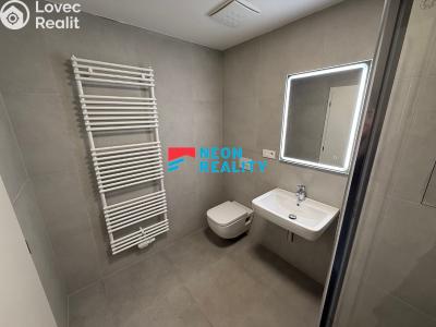 Pronájem bytu 1+KK Opava, Císařského pluku č. 4