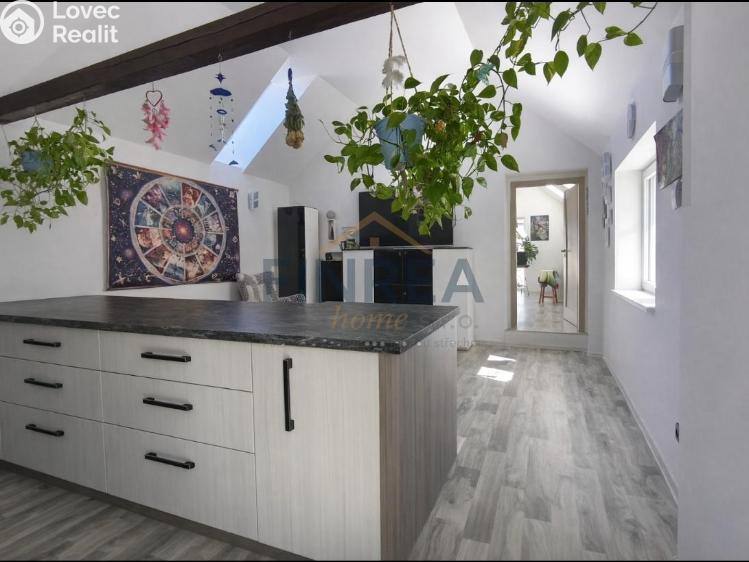 Продаж сімейного будинку Ctiněves č. 11