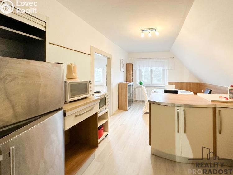 Rent apartment 2+1 Jílové u Prahy, Radlická č. 3