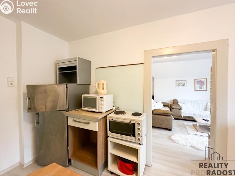 Rent apartment 2+1 Jílové u Prahy, Radlická č. 5