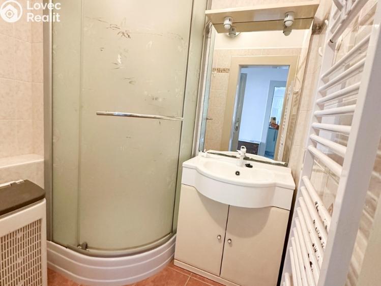 Rent apartment 2+1 Jílové u Prahy, Radlická č. 10