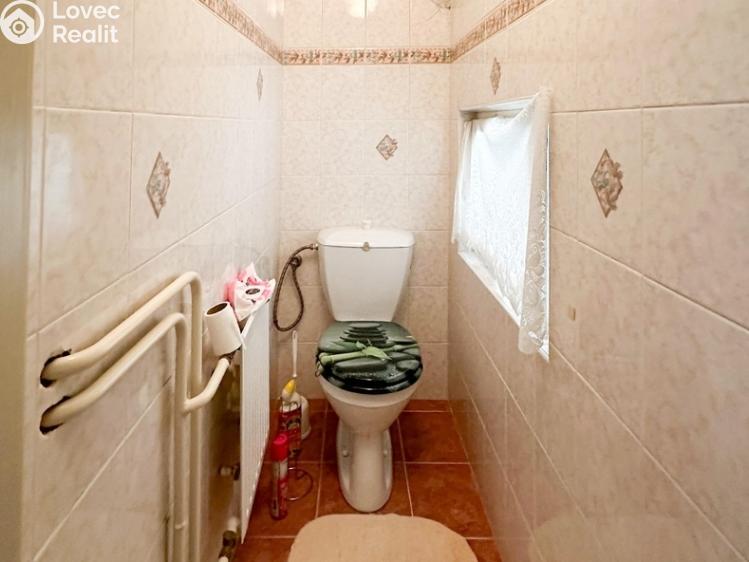 Аренда квартиры 2+1 Jílové u Prahy, Radlická č. 9