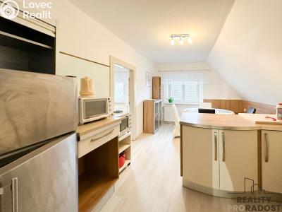 Аренда квартиры 2+1 Jílové u Prahy, Radlická č. 3