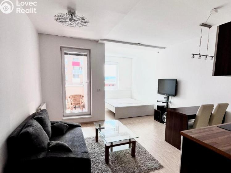 Pronájem bytu 1+KK Praha, Vorařská 2075/4 č. 1