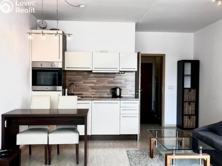 Pronájem bytu 1+KK Praha, Vorařská 2075/4 č. 3