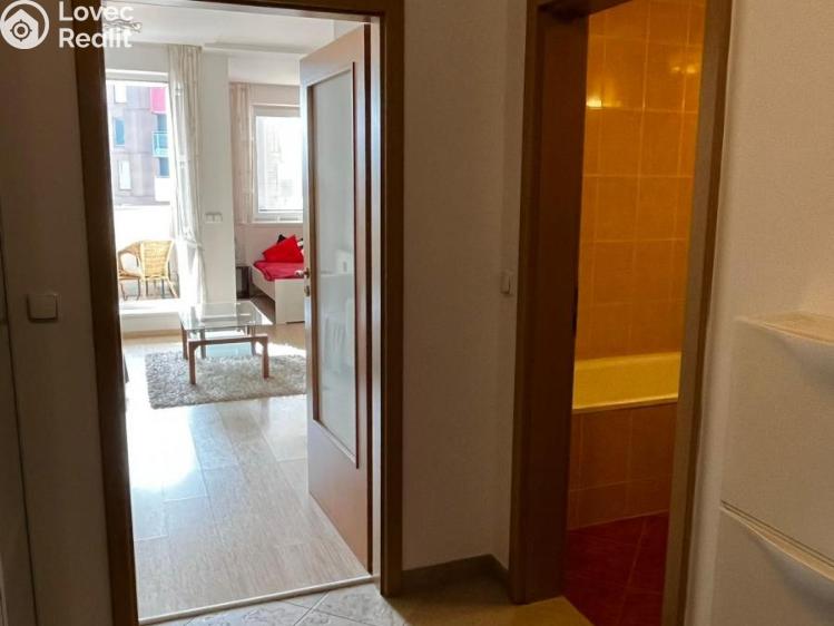 Pronájem bytu 1+KK Praha, Vorařská 2075/4 č. 7