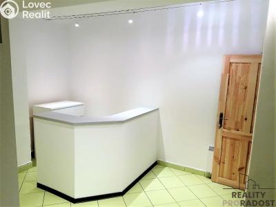 Pronájem komerční nemovitosti Slaný, Kynského č. 2