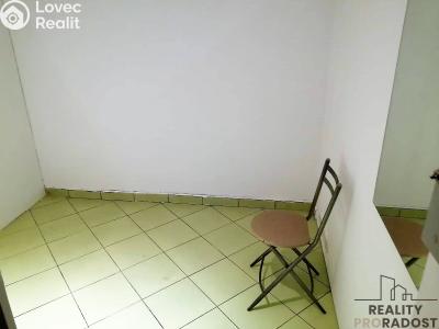 Rent commercial properties Slaný, Kynského č. 7