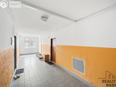 Продажа квартиры 1+1 Rybitví, Činžovních domů č. 9
