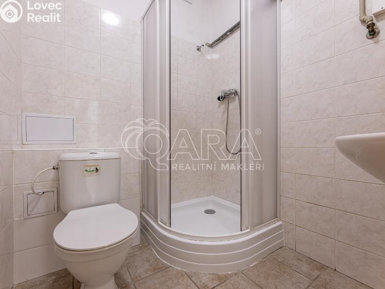 Pronájem bytu 1+KK Praha č. 4