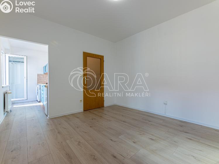 Pronájem bytu 1+KK Praha č. 7