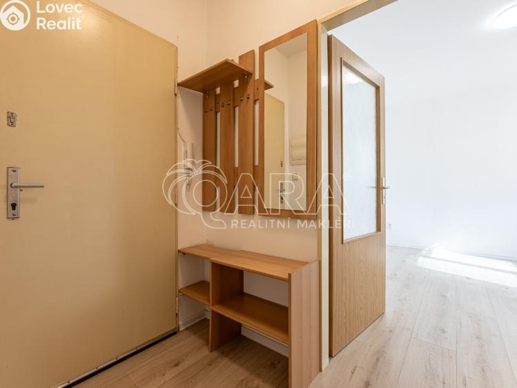 Pronájem bytu 1+KK Praha č. 11