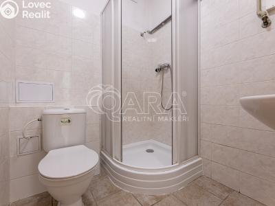 Pronájem bytu 1+KK Praha č. 4