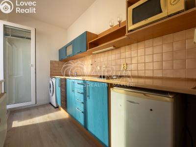 Pronájem bytu 1+KK Praha č. 6