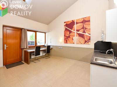 Pronájem bytu 2+KK Králův Dvůr, Pod Dálnicí č. 3