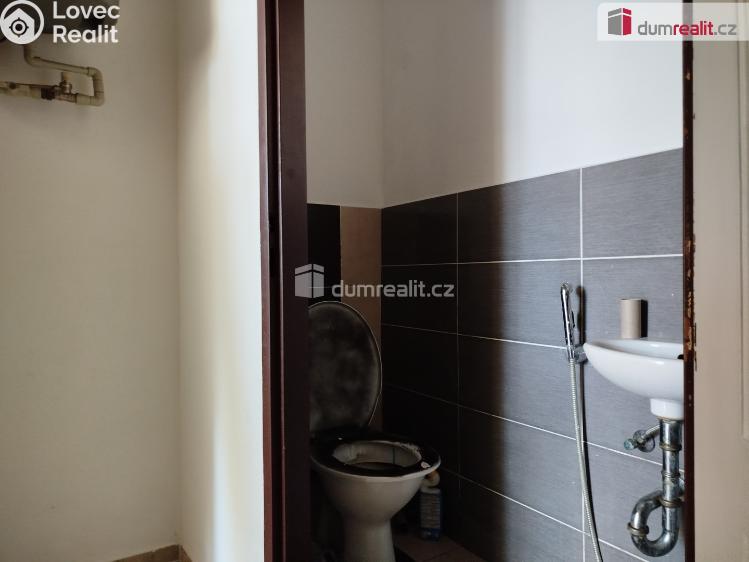 Pronájem bytu 1+1 Karlovy Vary, Javorová č. 11