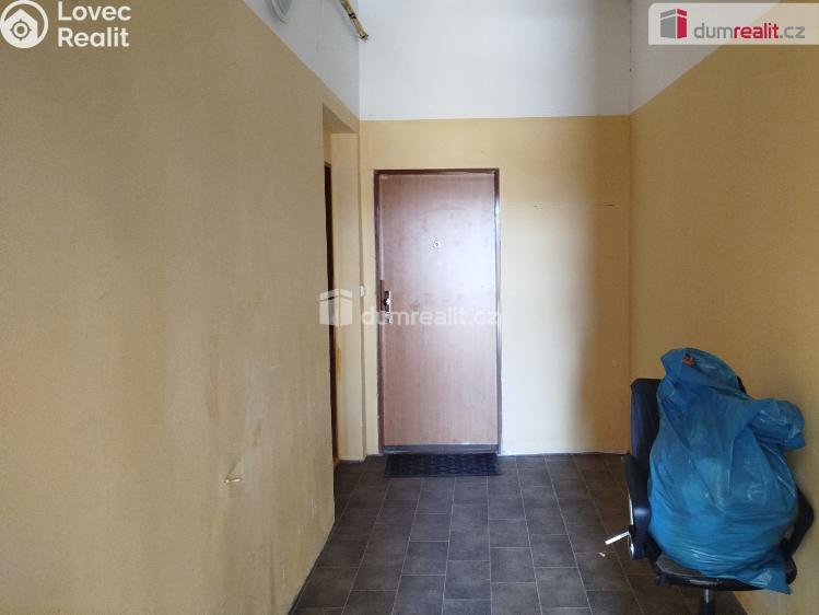 Pronájem bytu 1+1 Karlovy Vary, Javorová č. 12