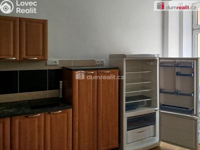 Pronájem bytu 1+1 Karlovy Vary, Javorová č. 1