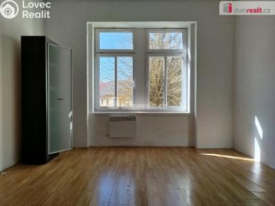 Pronájem bytu 1+1 Karlovy Vary, Javorová č. 6