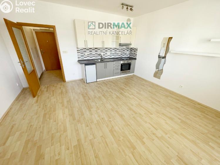 Pronájem bytu 1+KK Plzeň, Goldscheiderova 2950/7 č. 1