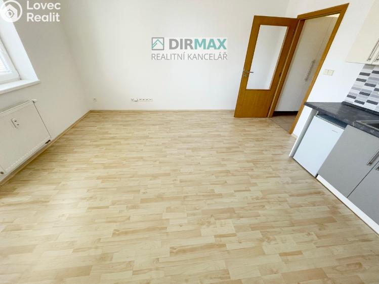 Pronájem bytu 1+KK Plzeň, Goldscheiderova 2950/7 č. 3