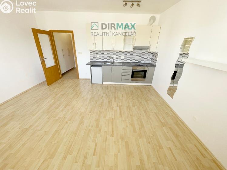 Pronájem bytu 1+KK Plzeň, Goldscheiderova 2950/7 č. 9