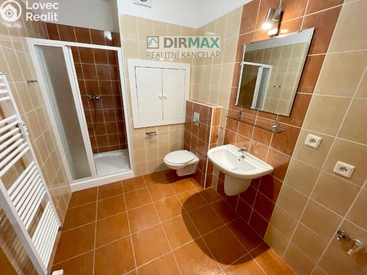 Pronájem bytu 1+KK Plzeň, Goldscheiderova 2950/7 č. 11