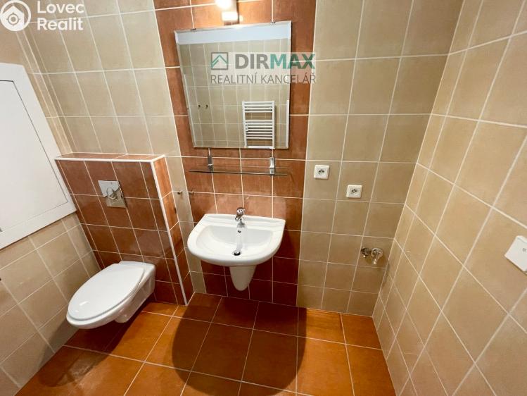 Pronájem bytu 1+KK Plzeň, Goldscheiderova 2950/7 č. 12