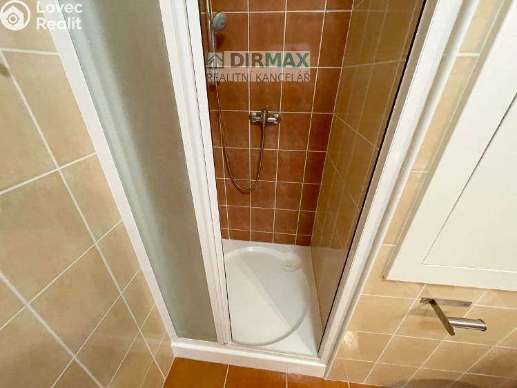 Pronájem bytu 1+KK Plzeň, Goldscheiderova 2950/7 č. 13