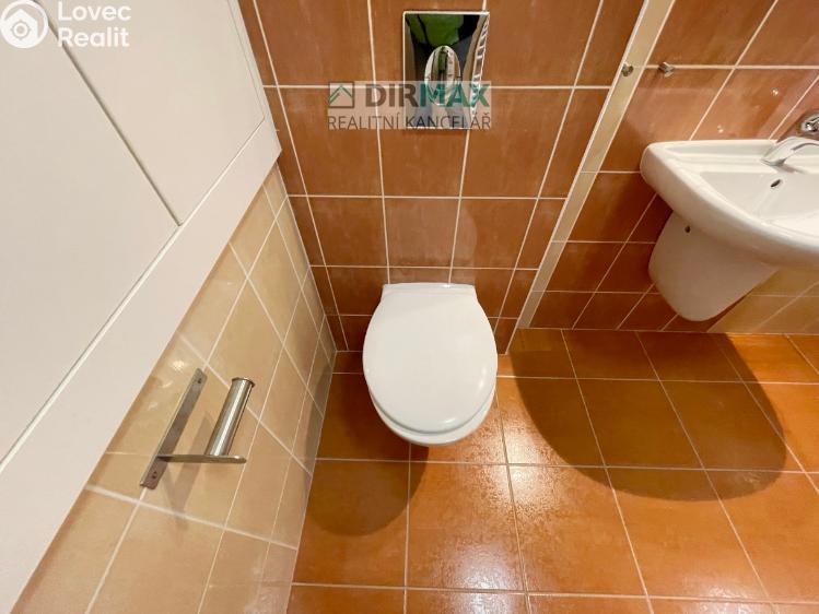 Pronájem bytu 1+KK Plzeň, Goldscheiderova 2950/7 č. 15