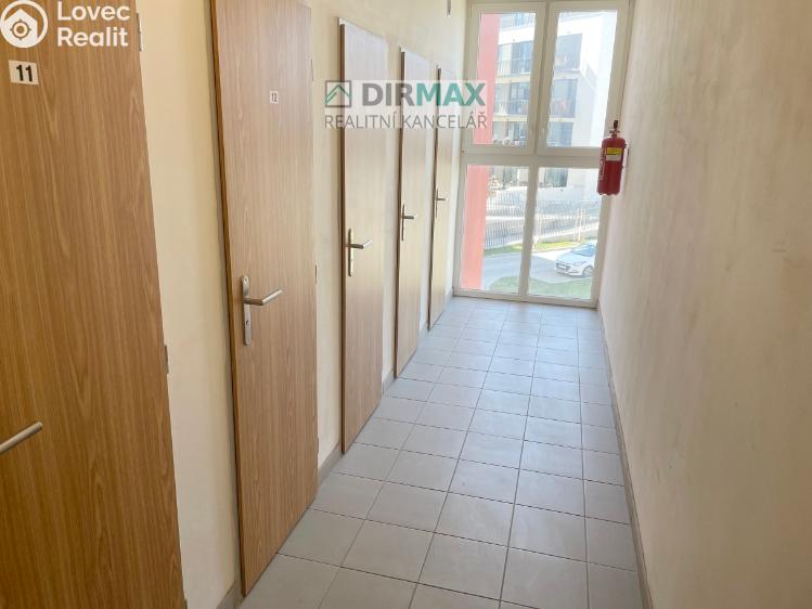 Pronájem bytu 1+KK Plzeň, Goldscheiderova 2950/7 č. 17