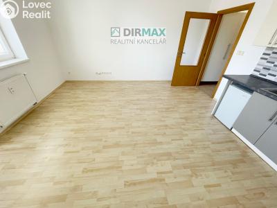 Pronájem bytu 1+KK Plzeň, Goldscheiderova č. 3
