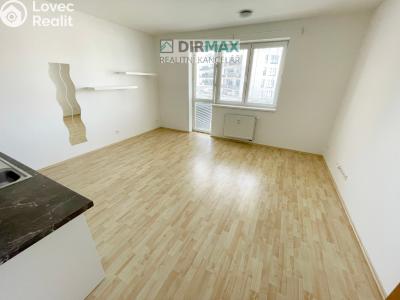 Pronájem bytu 1+KK Plzeň, Goldscheiderova č. 5