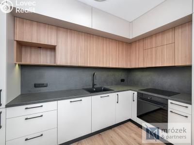 Prodej bytu 2+1 Český Těšín, Frýdecká č. 2