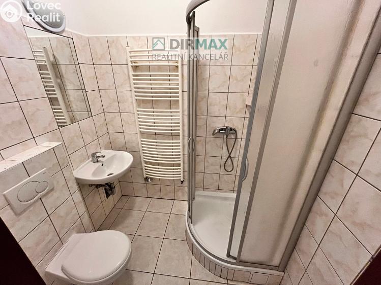 Pronájem bytu 1+KK Plzeň, Koterovská č. 4