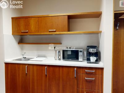 Оренда офісного приміщення Opava, Masařská č. 3