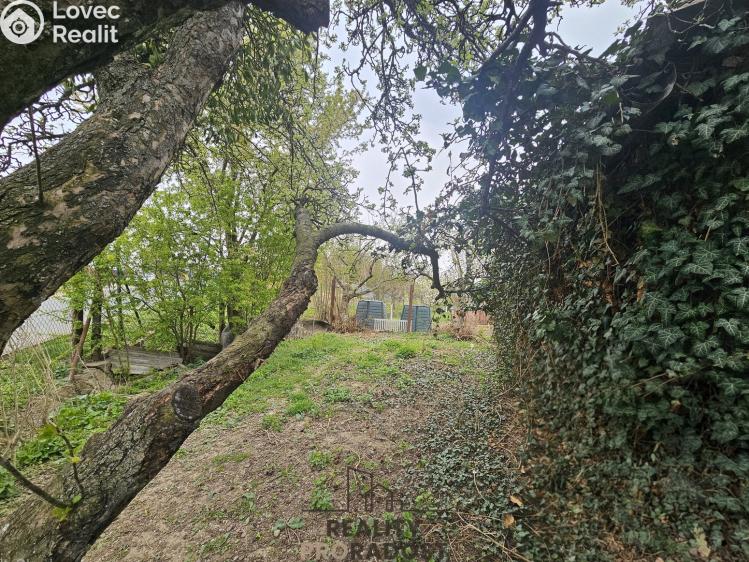 Продажа семейного дома Šardice č. 50